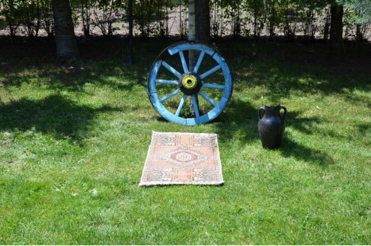 Turkish Handmade Vintage Small Area Rug Doormat For Home Decor 3'1,4" X 1'8,1"